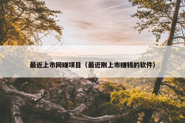 最近上市网赚项目（最近刚上市赚钱的软件）
