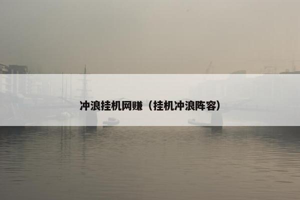 冲浪挂机网赚（挂机冲浪阵容）