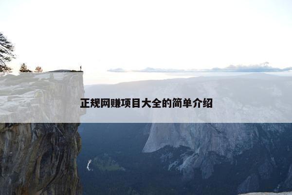 正规网赚项目大全的简单介绍