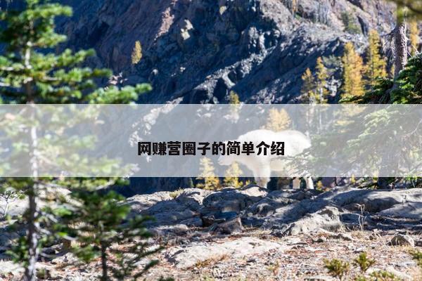 网赚营圈子的简单介绍