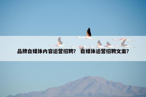 品牌自媒体内容运营招聘？ 自媒体运营招聘文案？