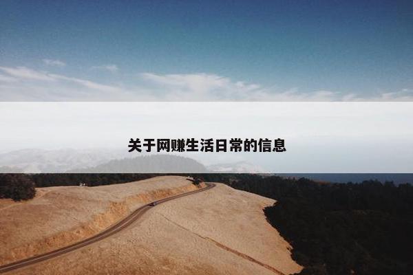 关于网赚生活日常的信息