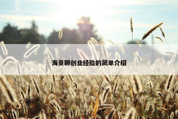 海景聊创业经验的简单介绍