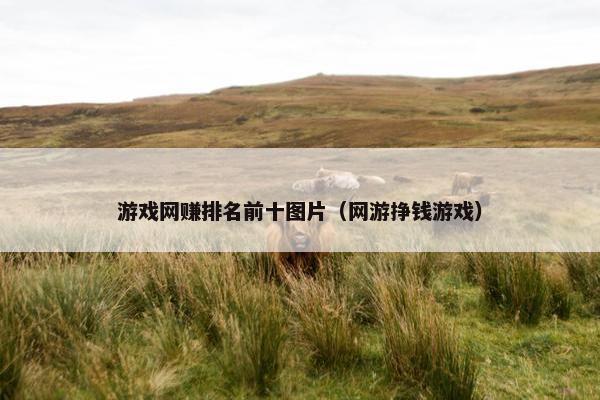 游戏网赚排名前十图片（网游挣钱游戏）