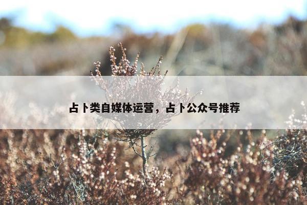 占卜类自媒体运营，占卜公众号推荐