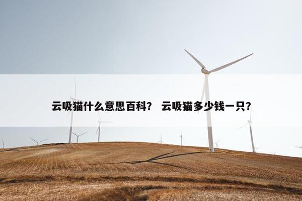 云吸猫什么意思百科？ 云吸猫多少钱一只？