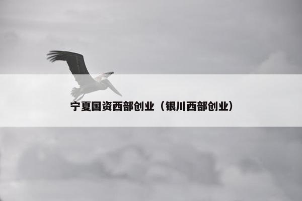 宁夏国资西部创业（银川西部创业）