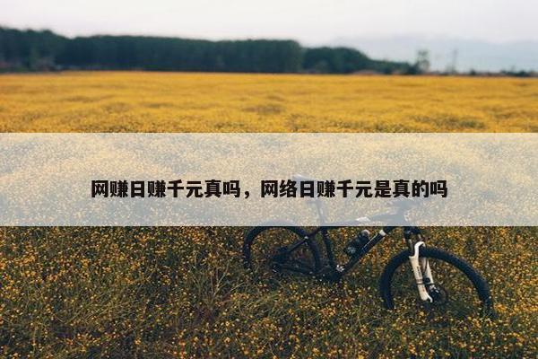 网赚日赚千元真吗，网络日赚千元是真的吗