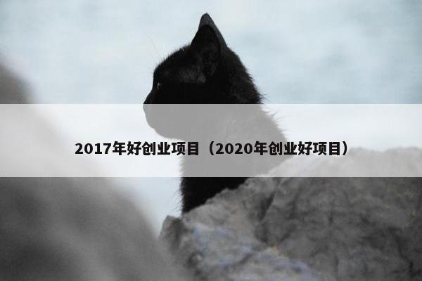 2017年好创业项目（2020年创业好项目）