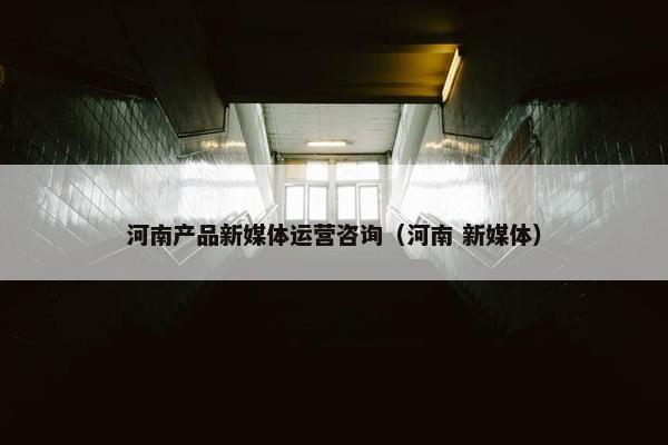 河南产品新媒体运营咨询（河南 新媒体）
