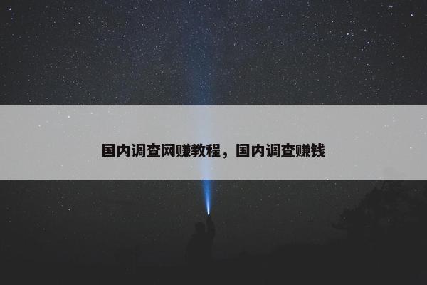 国内调查网赚教程，国内调查赚钱