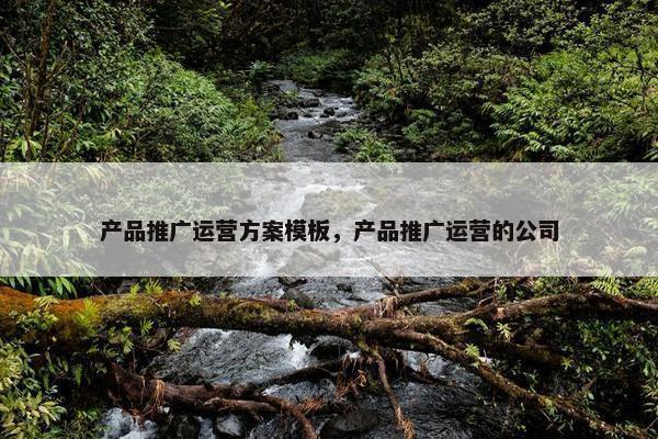 产品推广运营方案模板，产品推广运营的公司