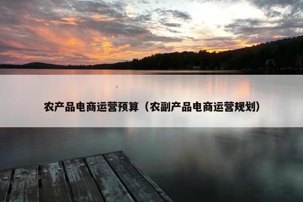 农产品电商运营预算（农副产品电商运营规划）