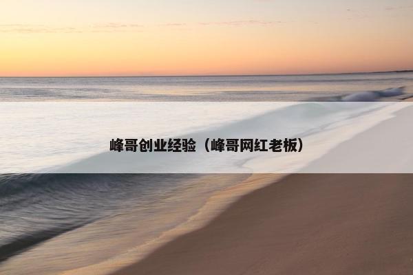 峰哥创业经验（峰哥网红老板）