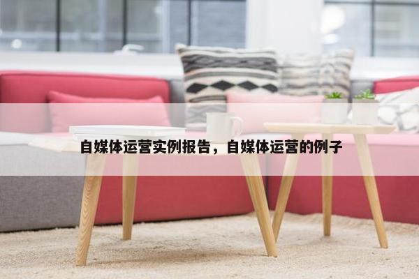 自媒体运营实例报告，自媒体运营的例子