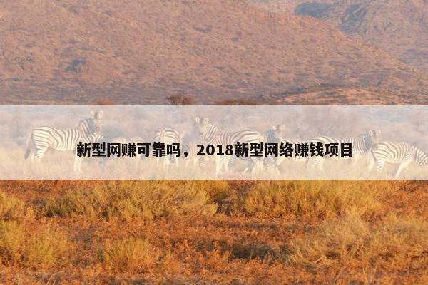 新型网赚可靠吗，2018新型网络赚钱项目