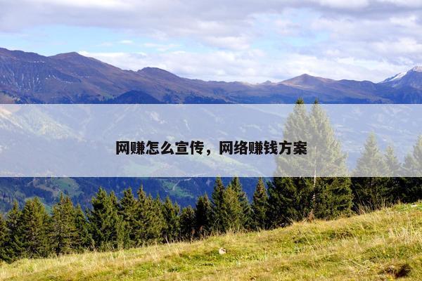 网赚怎么宣传，网络赚钱方案