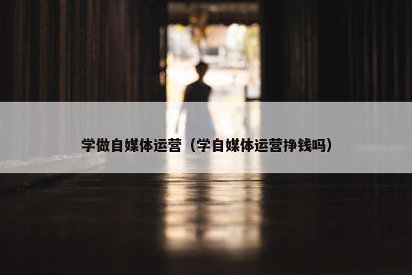 学做自媒体运营（学自媒体运营挣钱吗）
