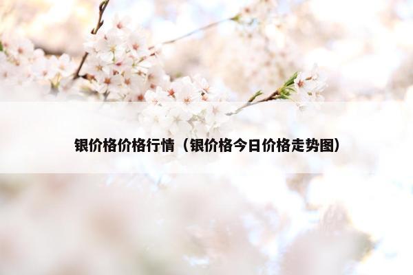 银价格价格行情（银价格今日价格走势图）