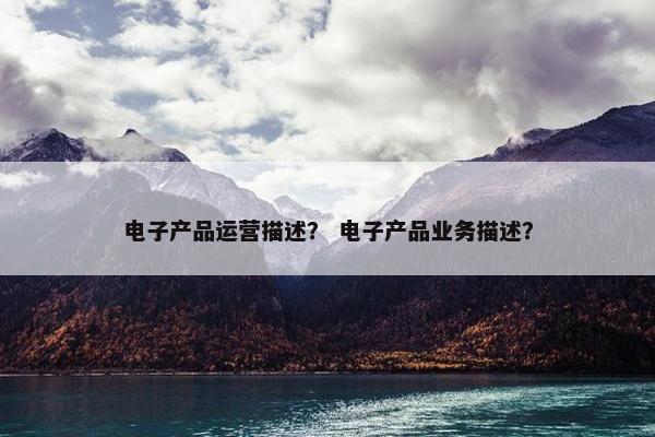 电子产品运营描述？ 电子产品业务描述？