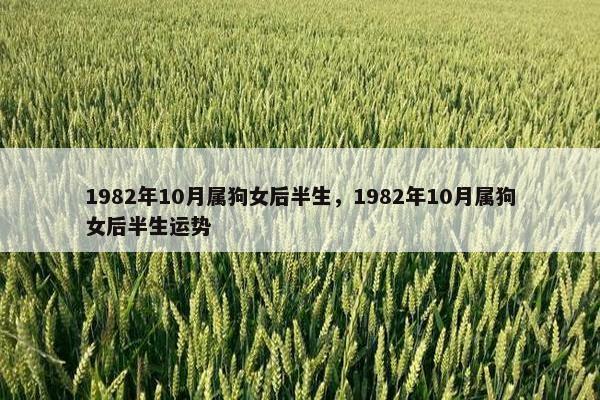 1982年10月属狗女后半生，1982年10月属狗女后半生运势