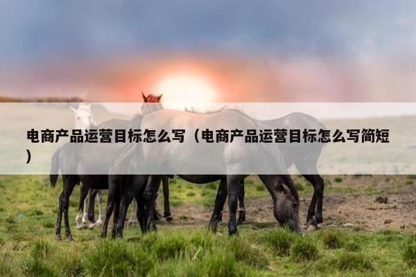 电商产品运营目标怎么写（电商产品运营目标怎么写简短）