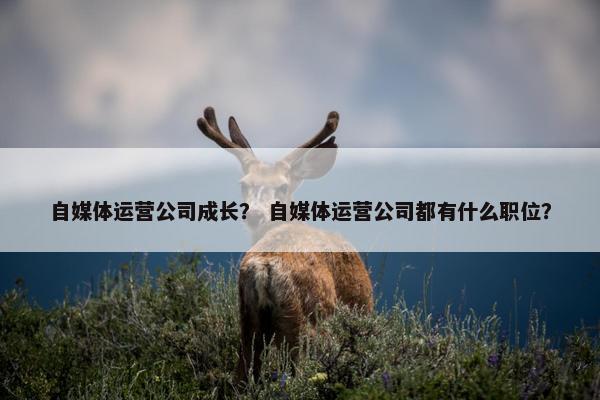 自媒体运营公司成长？ 自媒体运营公司都有什么职位？