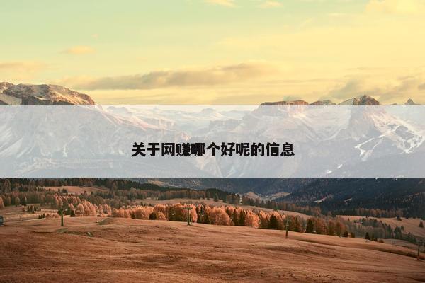 关于网赚哪个好呢的信息