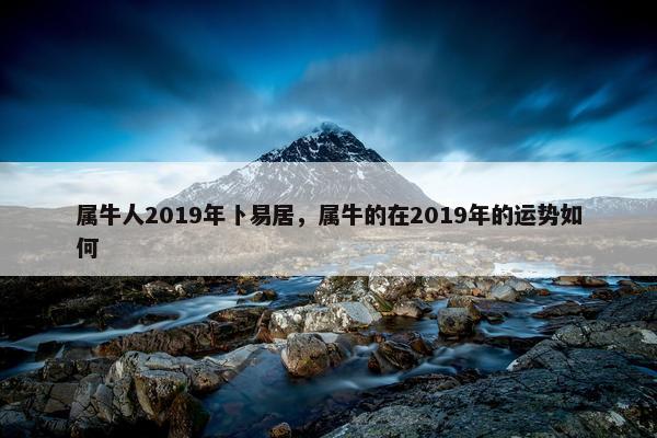 属牛人2019年卜易居，属牛的在2019年的运势如何