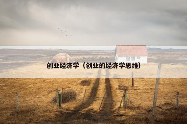 创业经济学（创业的经济学思维）