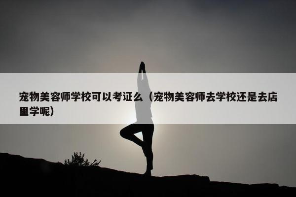 宠物美容师学校可以考证么（宠物美容师去学校还是去店里学呢）