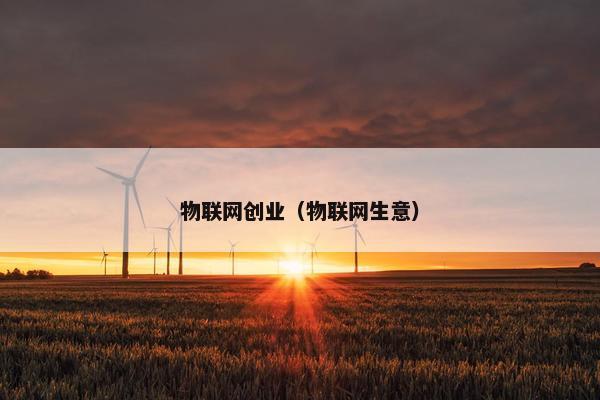 物联网创业（物联网生意）