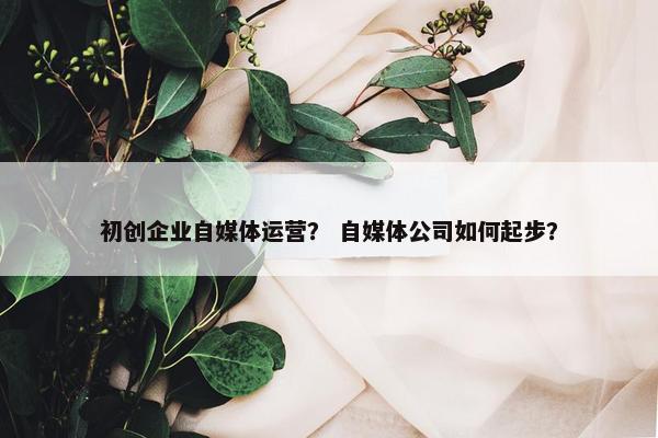 初创企业自媒体运营？ 自媒体公司如何起步？