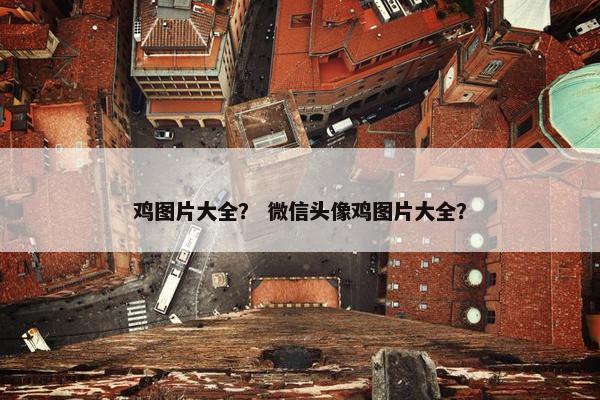 鸡图片大全？ 微信头像鸡图片大全？