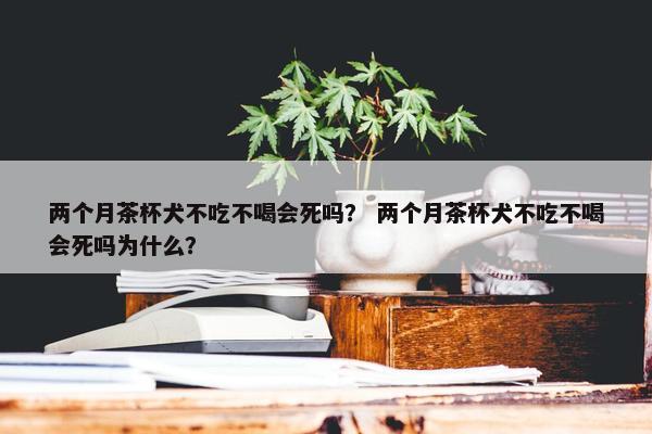 两个月茶杯犬不吃不喝会死吗？ 两个月茶杯犬不吃不喝会死吗为什么？