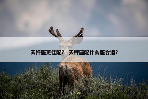 天秤座更佳配？ 天秤座配什么座合适？