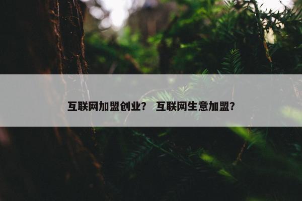 互联网加盟创业？ 互联网生意加盟？