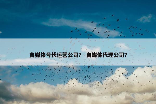 自媒体号代运营公司？ 自媒体代理公司？