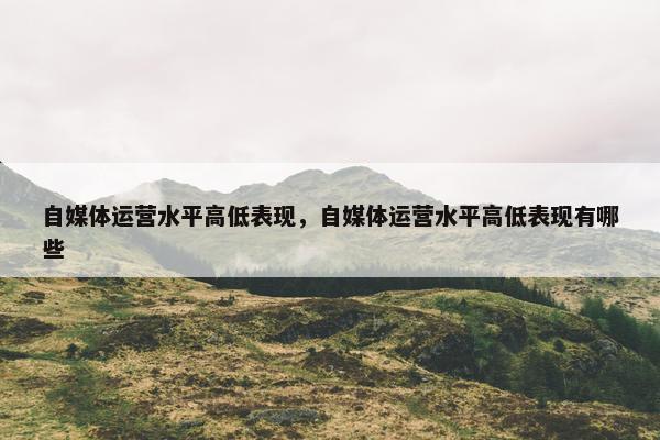 自媒体运营水平高低表现，自媒体运营水平高低表现有哪些