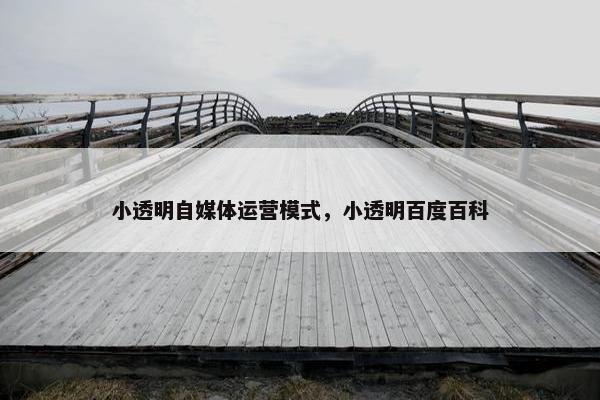 小透明自媒体运营模式，小透明百度百科